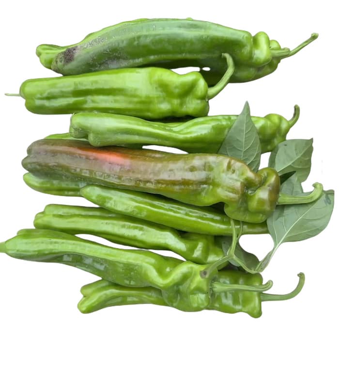 海椒 Pepper - Image 1